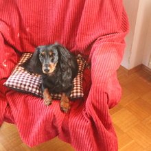 kerstin-kloss Avatar