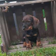 marlene-gabrich Avatar