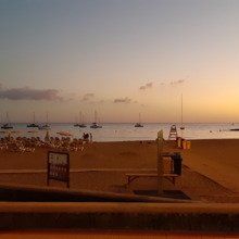 viviane-bogaerts Avatar