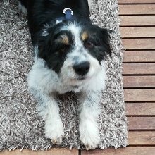 monika-binder Avatar