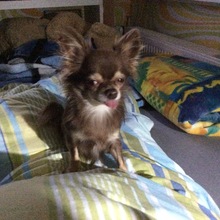 annette-moorrees Avatar