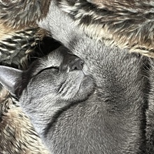 JaNaMeyer2020 Avatar