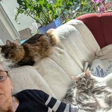 susanne-becker9 Avatar