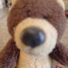 karin-hafermann Avatar