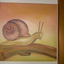 Haekel-Schnecke Avatar