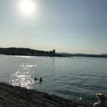 gustav-nielsen1993 Avatar