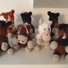 susanne-hornung Avatar