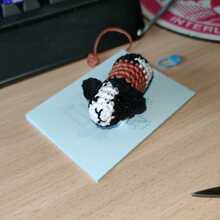 nicole-blatter1 Avatar