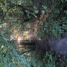 petra-getzschmann Avatar