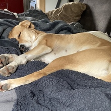 nicole-kargel Avatar