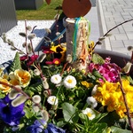 karin-hasenbacher-weiser