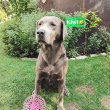 karin-kostrouch Avatar