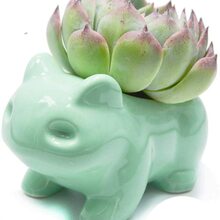 KleinerBlumentopf Avatar