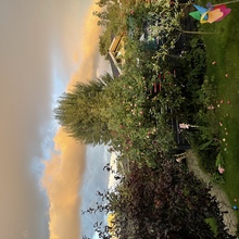 mettefrost-jensen Avatar