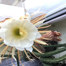 steffi-krause1 Avatar