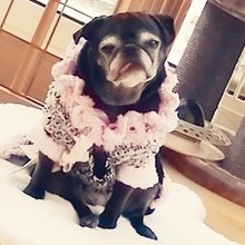 petra-rappelt Avatar