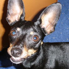 andrea-benecke Avatar