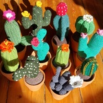 anjaund-nijemeisland