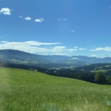 sonja-stocker Avatar