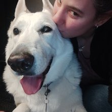 DorotheeHavel Avatar