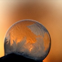 aniko-kuerthy Avatar