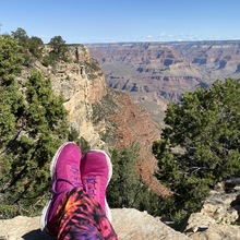 laurie-feuerstack Avatar