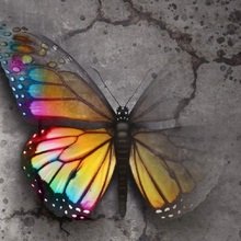 gabriele-junghans Avatar