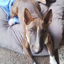 gabriele-ulbrich Avatar