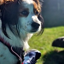 Heide-Malwine Avatar