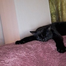 claudia-grosse4 Avatar