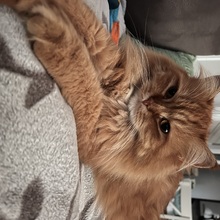 manuela-wandelt Avatar