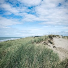 Patricia-Wirth1 Avatar