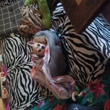 martina-schroth2 Avatar