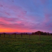 KleinerZwerch Avatar