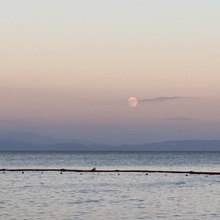 Monika-Weiss83 Avatar