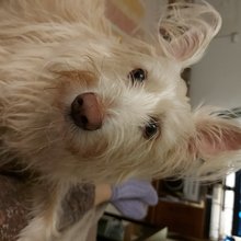 Kreissl-Sabine Avatar