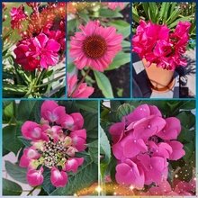 sabine-wegleitner1 Avatar