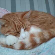 rita-weinmann Avatar