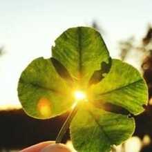 petra-guertler1 Avatar