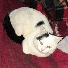 marion-tanneberger Avatar