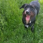 martina-honeck-block