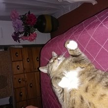 birgit-rebmann Avatar