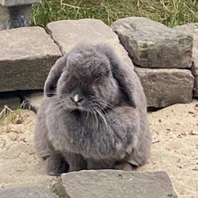 barbara-hackenberg Avatar