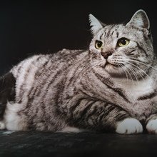 britta-bergter Avatar