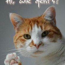 elfriede-schrader Avatar