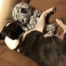 nadine-winner Avatar