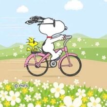 beatrix-kuerzinger Avatar