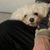 Jessy2181