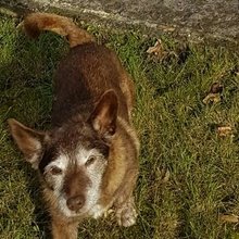 christine-lachnitt Avatar