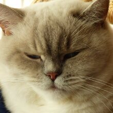 eva-conrad-kegler Avatar